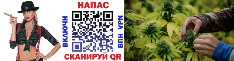 Купить наркотик аптеки Великий Устюг Марихуана  АМФ  Cocaine  МДМА  МЕФ  ГАШИШ 