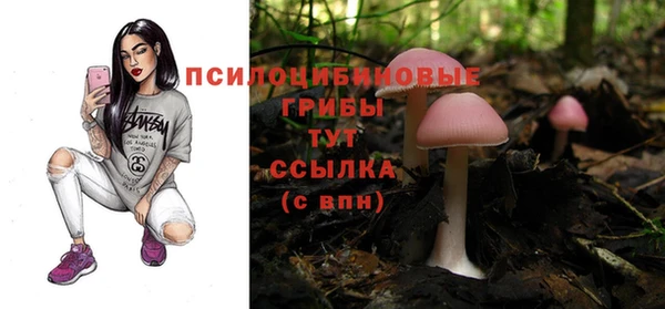 прущий лед Беломорск