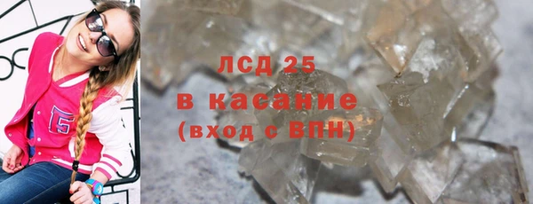 сатива Карпинск