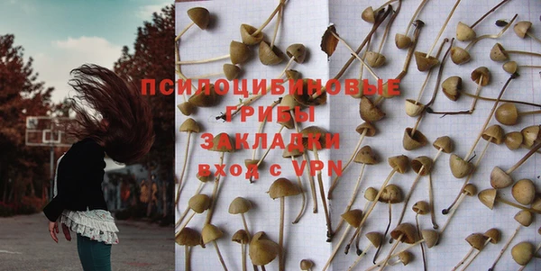 спиды Белокуриха