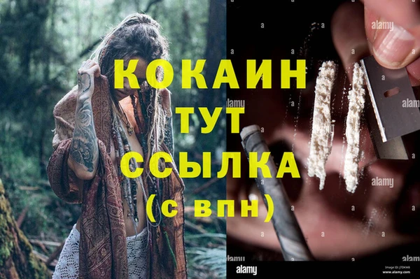 спиды Белокуриха