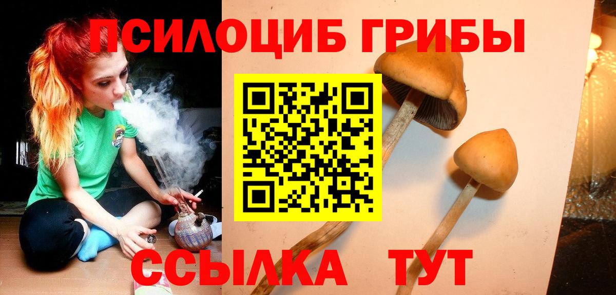 Великий Устюг  Псилоцибиновые грибы Magic Shrooms  Галлюциногенные грибы Psilocybe  Вход с VPN 